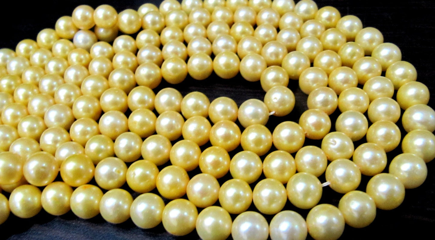 AAA Quality Natural Pearl Golden Color Beads, Genuine Pearl Gold Beads 5mm approx., Strand 5 inches Long, Beautiful Pearl beads