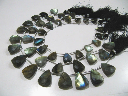 Natural Labradorite Blue Flashy Trillion Shape Briolette Faceted Beads Size 16-18 mm Strand 9 Inches Long Jewelry Making Beads